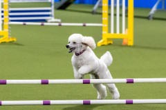 2023-AADTC-April-Trial-1474