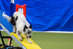 2023-AADTC-April-Trial-1475