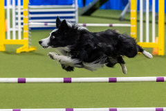 2023-AADTC-April-Trial-1484