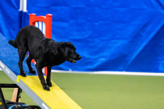 2023-AADTC-April-Trial-1485