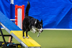 2023-AADTC-April-Trial-1488