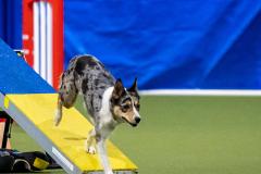 2023-AADTC-April-Trial-1493