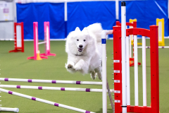 2023-AADTC-April-Trial-150