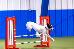 2023-AADTC-April-Trial-151