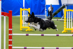 2023-AADTC-April-Trial-1514