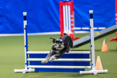 2023-AADTC-April-Trial-1529