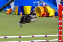 2023-AADTC-April-Trial-1533