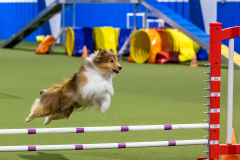 2023-AADTC-April-Trial-1538