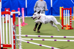 2023-AADTC-April-Trial-154