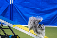 2023-AADTC-April-Trial-1549