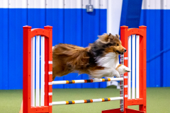 2023-AADTC-April-Trial-155