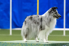 2023-AADTC-April-Trial-1551