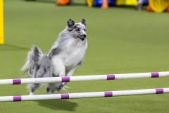 2023-AADTC-April-Trial-1552