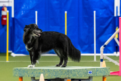 2023-AADTC-April-Trial-1556