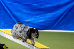 2023-AADTC-April-Trial-1559