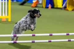 2023-AADTC-April-Trial-1562