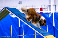 2023-AADTC-April-Trial-157