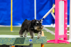 2023-AADTC-April-Trial-1572