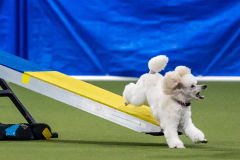 2023-AADTC-April-Trial-1574