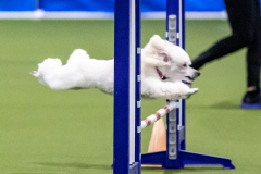 2023-AADTC-April-Trial-1576