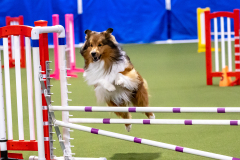 2023-AADTC-April-Trial-158