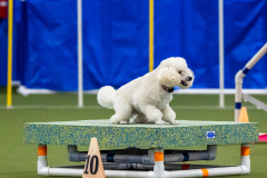 2023-AADTC-April-Trial-1580