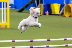 2023-AADTC-April-Trial-1581