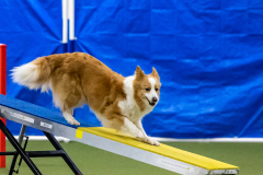 2023-AADTC-April-Trial-1582