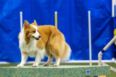 2023-AADTC-April-Trial-1585