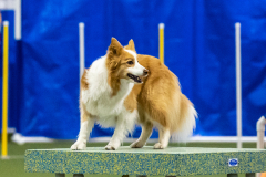 2023-AADTC-April-Trial-1586