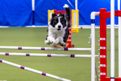 2023-AADTC-April-Trial-160