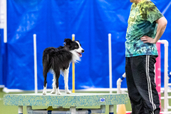 2023-AADTC-April-Trial-1600