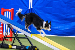 2023-AADTC-April-Trial-1602