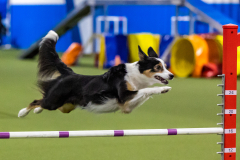 2023-AADTC-April-Trial-1605