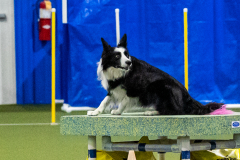 2023-AADTC-April-Trial-1609