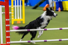 2023-AADTC-April-Trial-1610