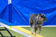 2023-AADTC-April-Trial-1612