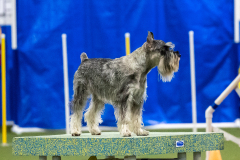 2023-AADTC-April-Trial-1614