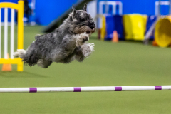 2023-AADTC-April-Trial-1615