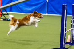 2023-AADTC-April-Trial-1617