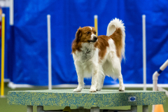 2023-AADTC-April-Trial-1619