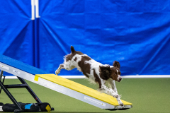 2023-AADTC-April-Trial-1620