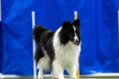 2023-AADTC-April-Trial-1627