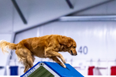 2023-AADTC-April-Trial-163