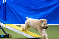 2023-AADTC-April-Trial-1630