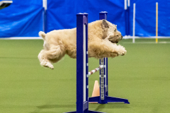 2023-AADTC-April-Trial-1631