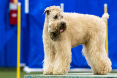 2023-AADTC-April-Trial-1633