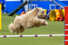 2023-AADTC-April-Trial-1634