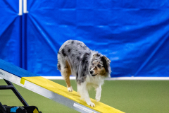 2023-AADTC-April-Trial-1635