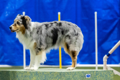 2023-AADTC-April-Trial-1637